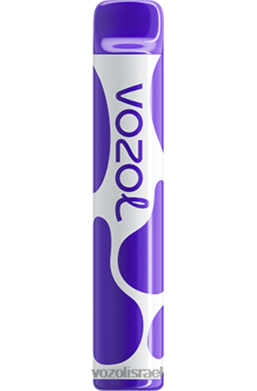 VOZOL Vape Review | T0886388 VOZOL JOYGO joygo 600 תערובת פירות יער 600