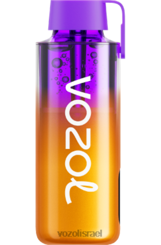 VOZOL Vape Flavours | T0886235 VOZOL NEON neon10000 תערובת פירות יער 10000