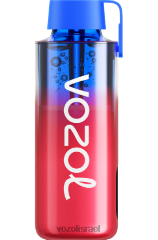 VOZOL Vape For Sale | T0886239 VOZOL NEON neon10000 אבטיח תות 10000