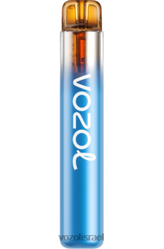 VOZOL Vape Buy | T0886270 VOZOL NEON neon800 סערת ברי יער 800