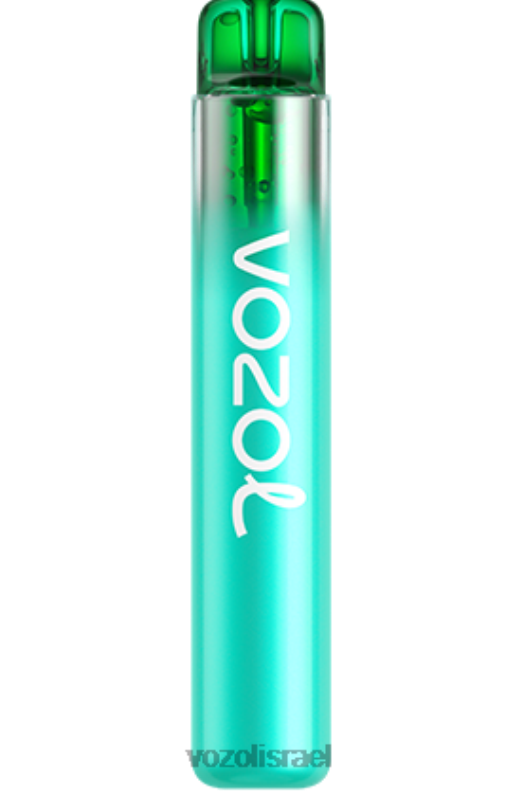 VOZOL Vape Website | T0886246 VOZOL NEON neon800 פטל חמוץ אוכמניות 800