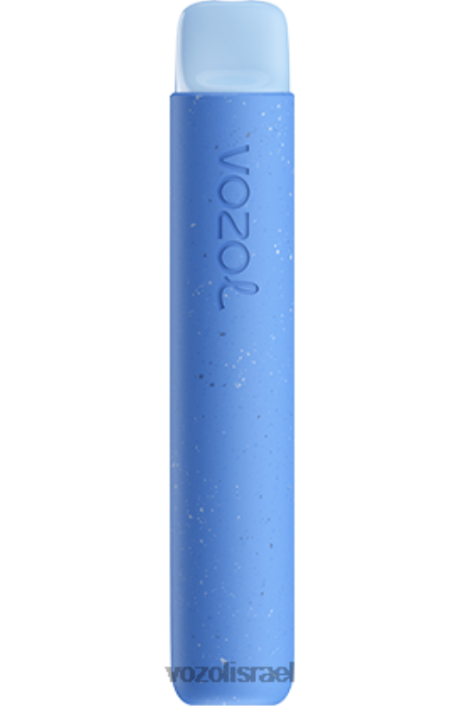 VOZOL Vape Flavours | T088675 VOZOL STAR כוכב 600 פטל חמוץ אוכמניות 600