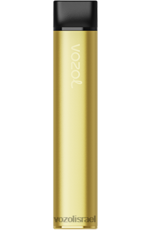 VOZOL Vape For Sale | T0886219 VOZOL SWITCH מתג 600 קרח בננה 600