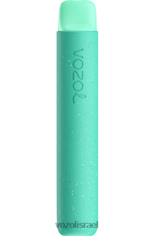 VOZOL Vape For Sale | T088699 VOZOL STAR כוכב 600 פאנץ' טרופי 600
