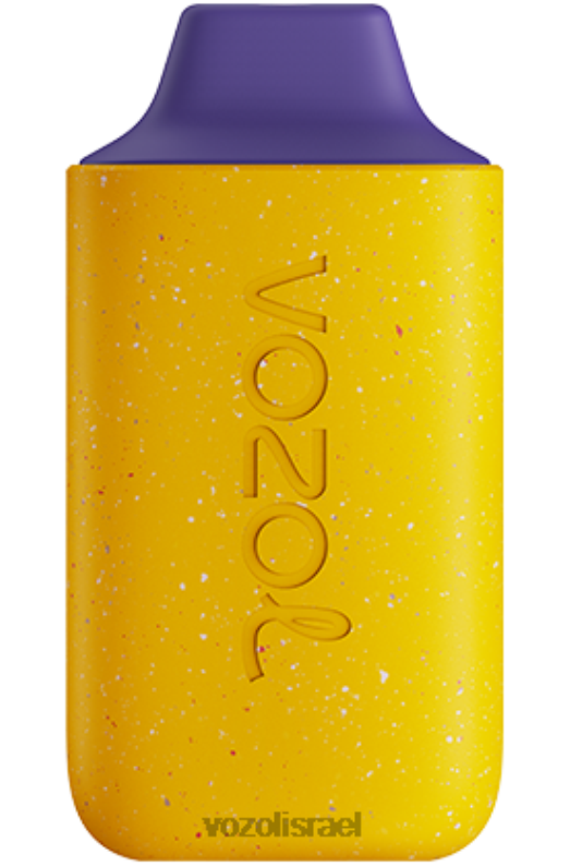 VOZOL Vape Flavours | T0886105 VOZOL STAR כוכב 6000 חלב פסיפלורה אוכמניות 6000