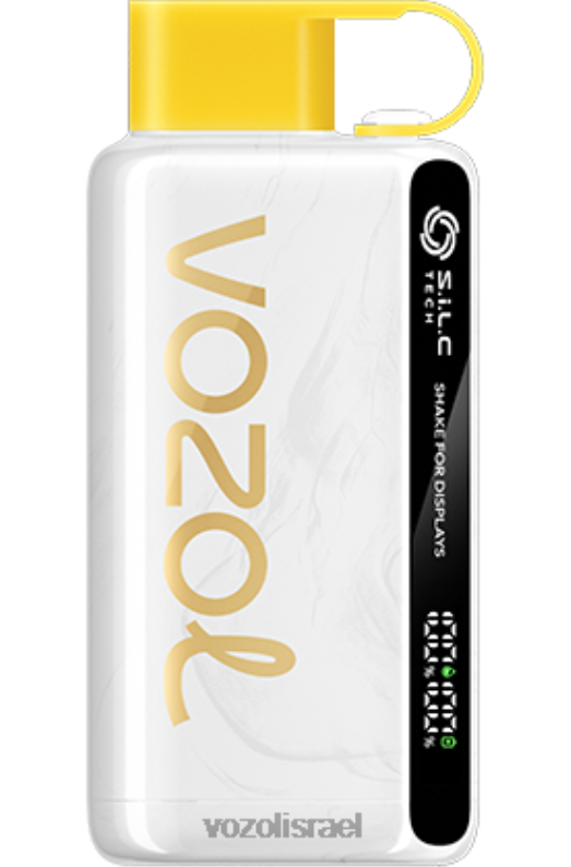 VOZOL Vape Flavours | T088625 VOZOL STAR כוכב 9000/12000 קיווי פסיפלורה גויאבה 9000/12000