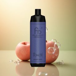 RandM Fumot Shisha 10000 Puffs מנטה יערה עם סוללת 850 mAh וניקוטין 0.5%