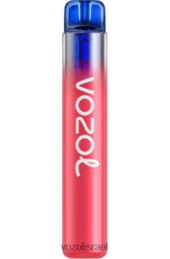 VOZOL Vape Buy | T0886280 VOZOL NEON neon800 מסטיק חמוציות תות 800