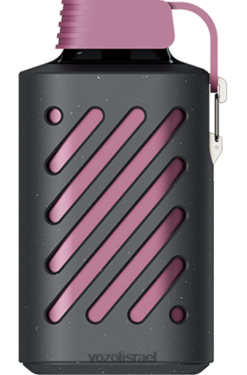 VOZOL Vape Buy | T0886300 VOZOL GEAR הילוך 10000 קלמנטינה פטל פסיפלורה 10000