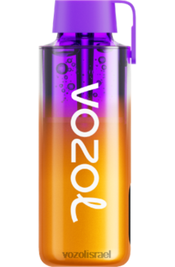 VOZOL Vape Flavours | T0886235 VOZOL NEON neon10000 תערובת פירות יער 10000