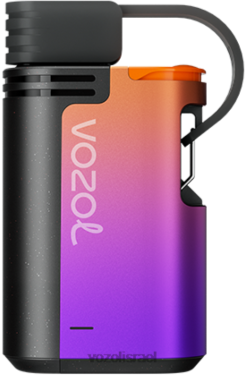 VOZOL Vape Flavours | T0886325 VOZOL GEAR הילוכים 4000/6000 קרח ענבים 4000c/6000
