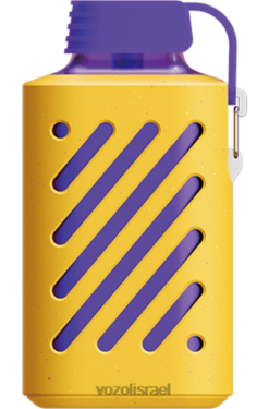 VOZOL Vape For Sale | T0886299 VOZOL GEAR הילוך 10000 תערובת פירות יער 10000