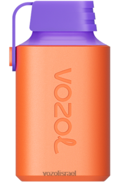 VOZOL Vape Review | T0886348 VOZOL GEAR גיר 600 קרח ענבים חמוציות 600