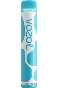VOZOL Vape Sale | T0886377 VOZOL JOYGO joygo 600 פטל חמוץ אוכמניות 600